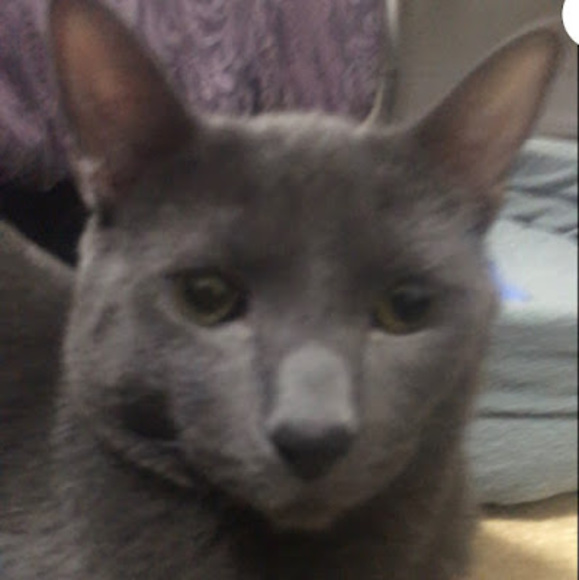 Meet your Posher, Cerise - Picture 1 of 1